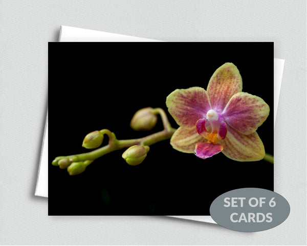 Orchid Notecard