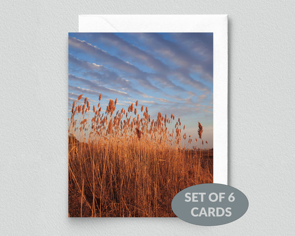Golden Hour on the Bay Notecard