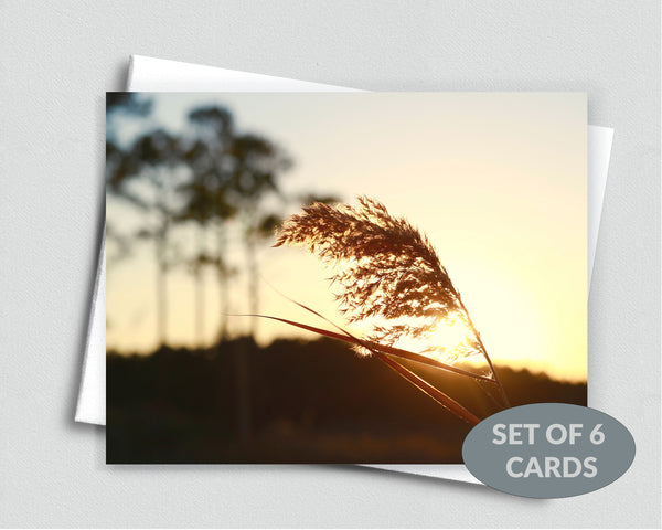 Sunset on the Bay Notecard