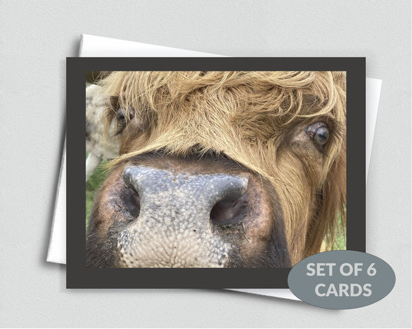 Nosey Cow Notecard