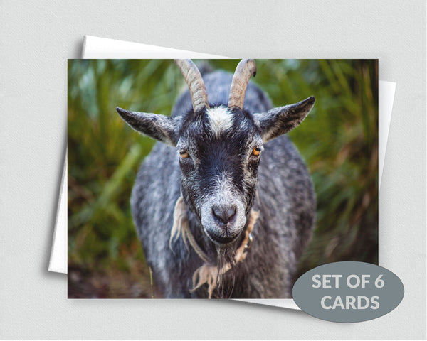 Old Goat Notecard