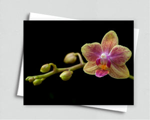 Orchid Notecard