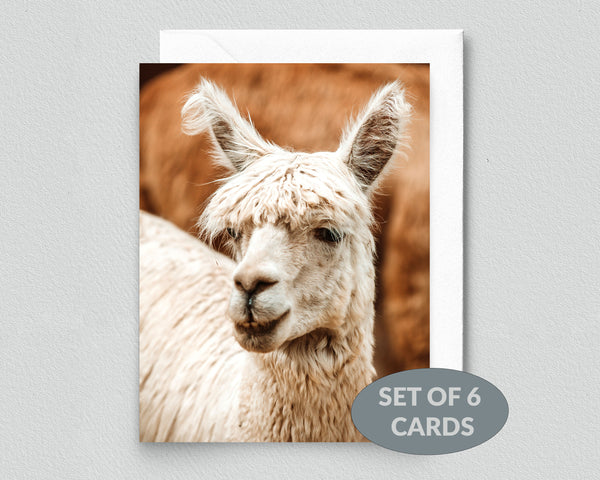 Niki the Alpaca Notecard