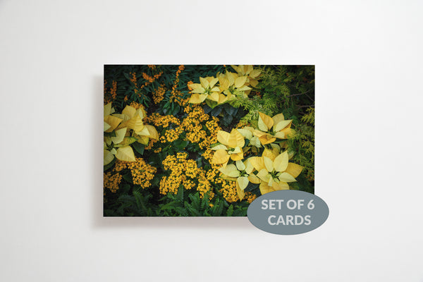 Yellow Poinsettia Christmas Card