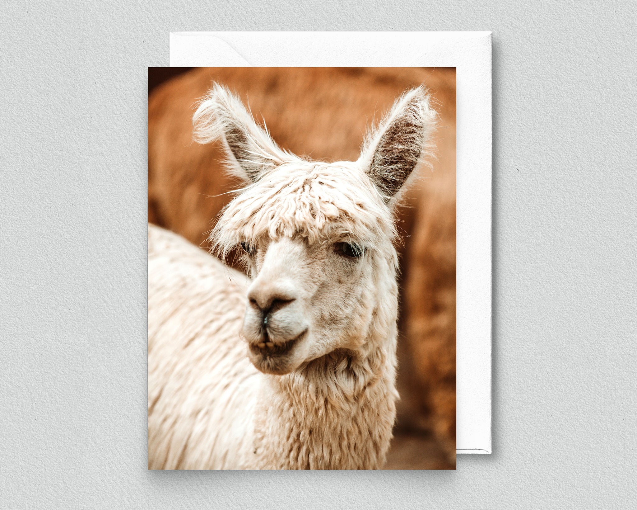 Niki the Alpaca Notecard