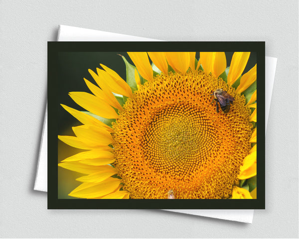 Bee Happy blank notecard with envelope