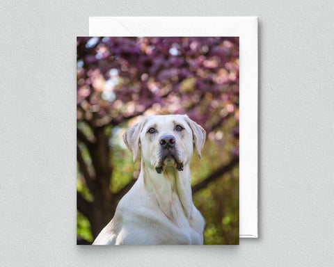 Faithful Friend Blank Notecard with Envelope