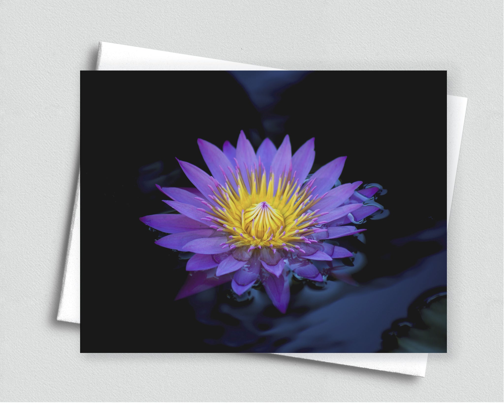 Purple Water Lily Blank Notecard