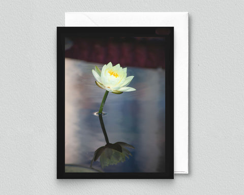 White Water Lily Reflection Blank Notecard